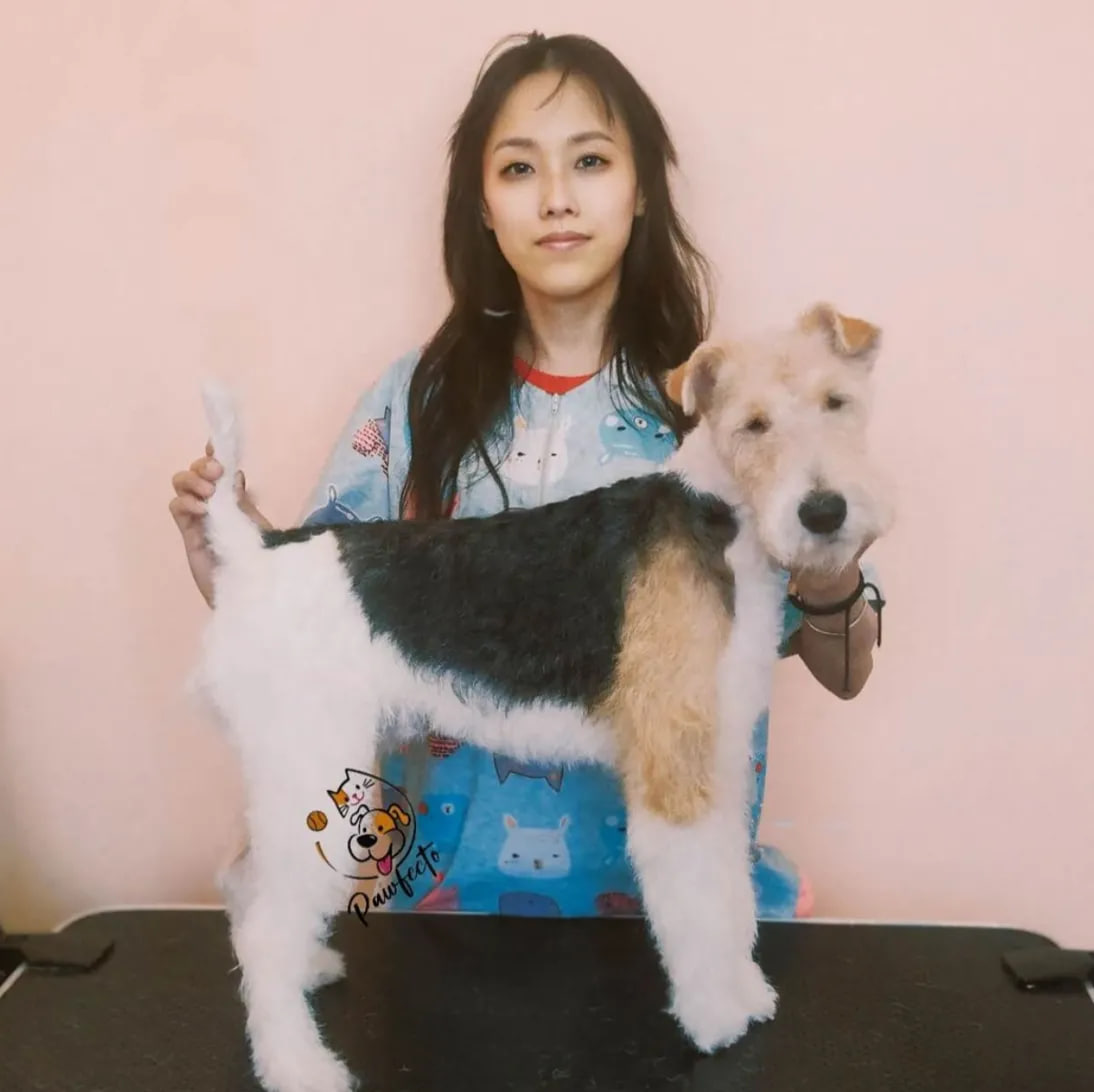 Хозяйка Pawfecto с ухоженным питомцем